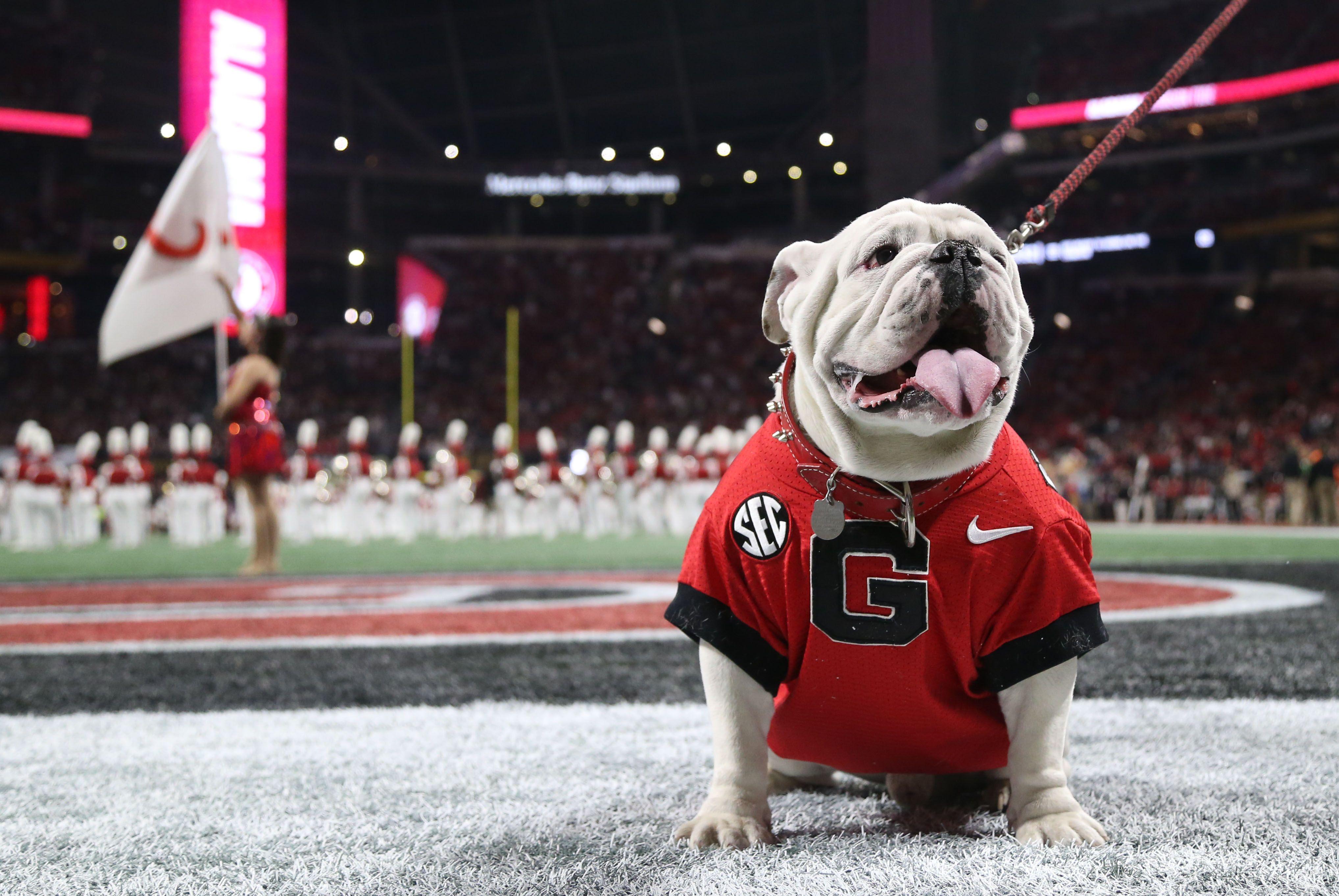 Georgia Bulldogs away game private flight travel for fans, parents, and boosters